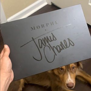 Morphe makeup palette James Charles